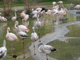 Tiergarten Schönbrunn am 12.03.2025